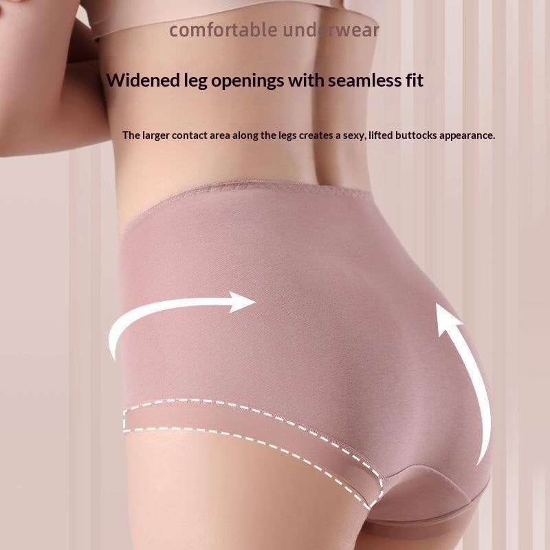 Mid-to-high-rise Tummy-control Lace 50-count Long-staple Cotton Panties For Women